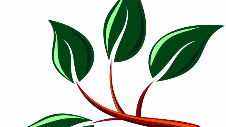 บ – ใบไม้ leaf