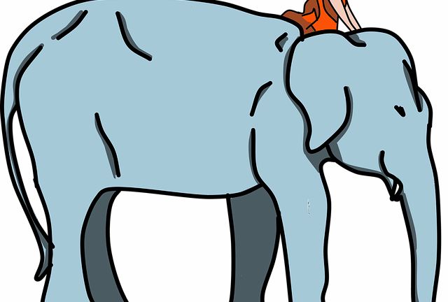 ช – ช้าง elephant