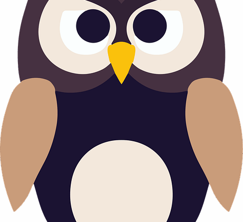 ฮ – นกฮูก owl