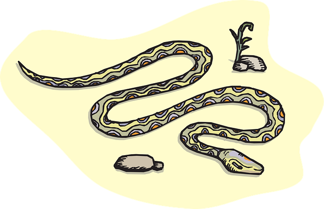 ง – งู snake