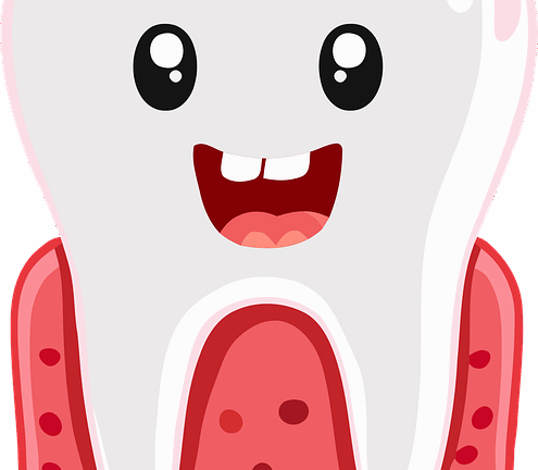 ฟ – ฟัน tooth, teeth