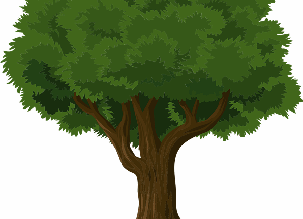 ฌ – เฌอ tree bush (a type of)