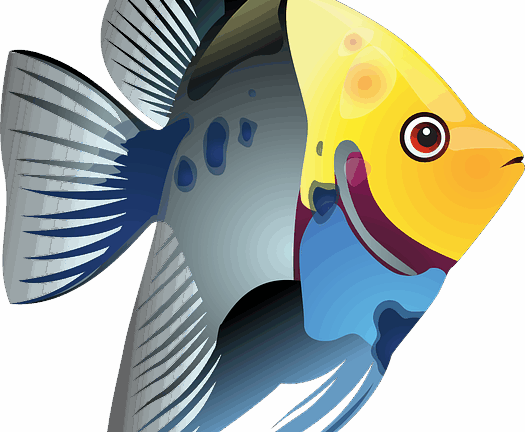 ป – ปลา fish