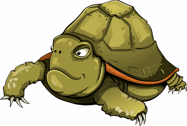 ต – เต่า turtle